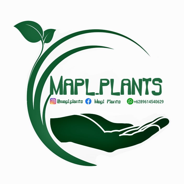 Maplplants.com